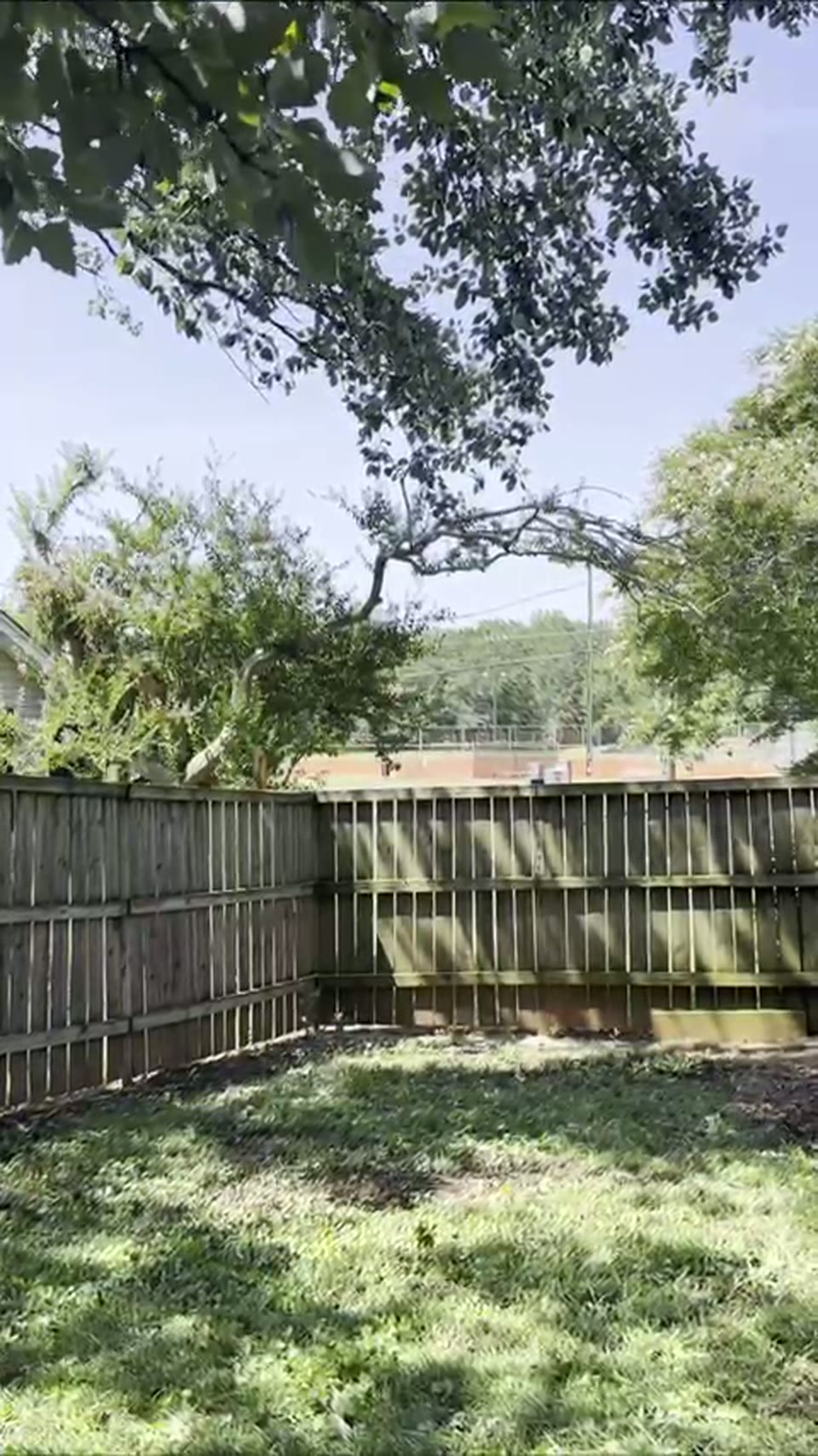Backyard fence line after the fallen tree was removed
